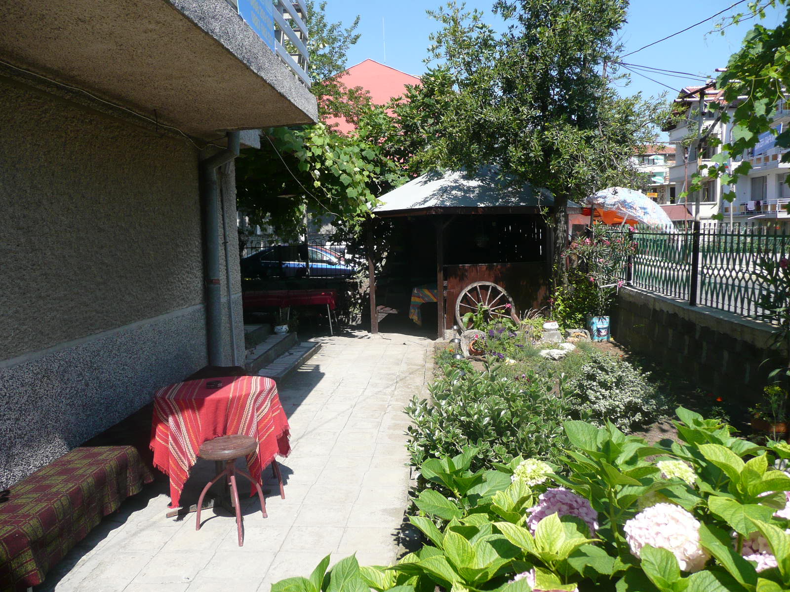 P1010688.JPG